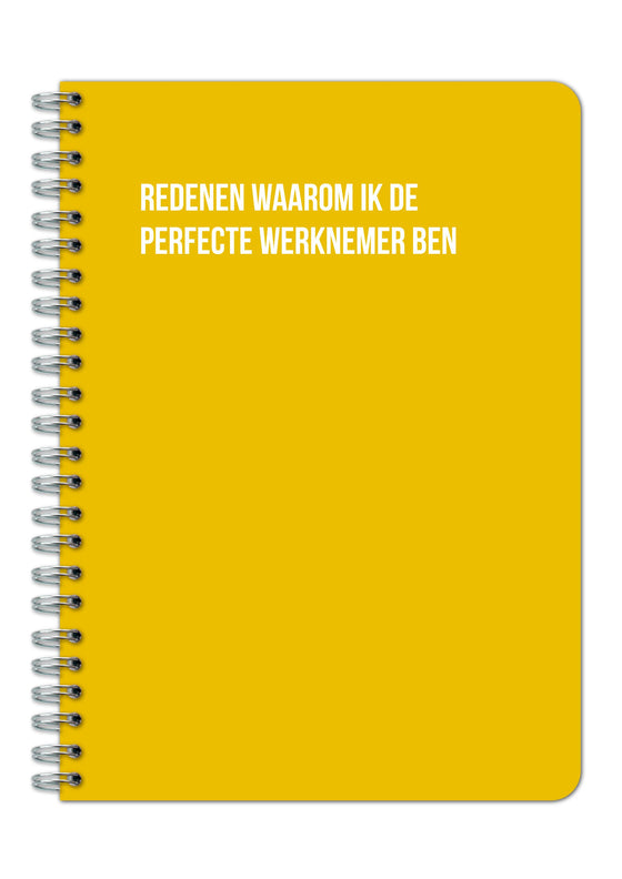 Notitieboek - Redenen waarom ik de perfecte werknemer ben