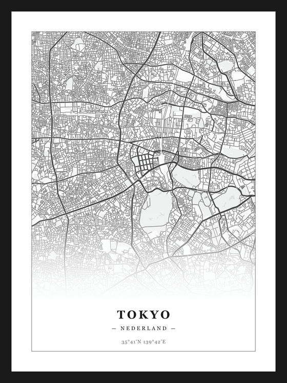 Stadskaart Tokyo - Klassiek