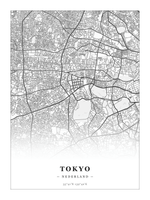 Stadskaart Tokyo - Klassiek - Zonder lijst