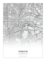 Stadskaart Tokyo - Water - Zonder lijst