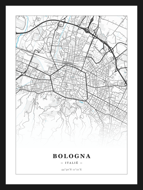 Steden poster Bologna