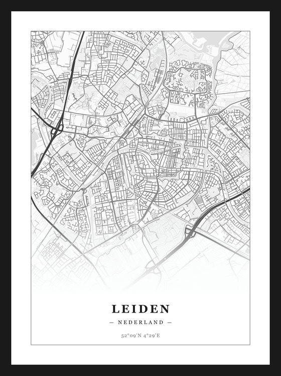 Steden poster Leiden - Klassiek
