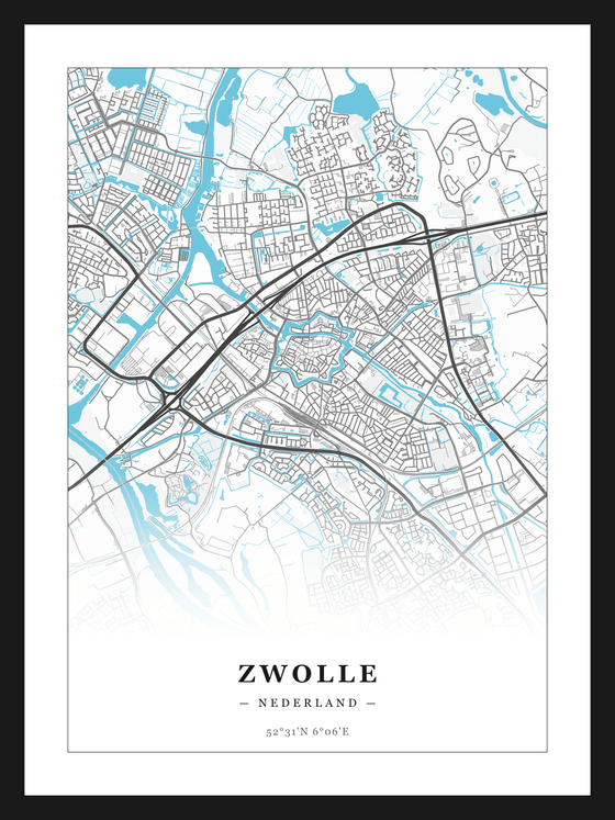 Steden poster Zwolle