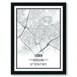 Steden poster Leiden